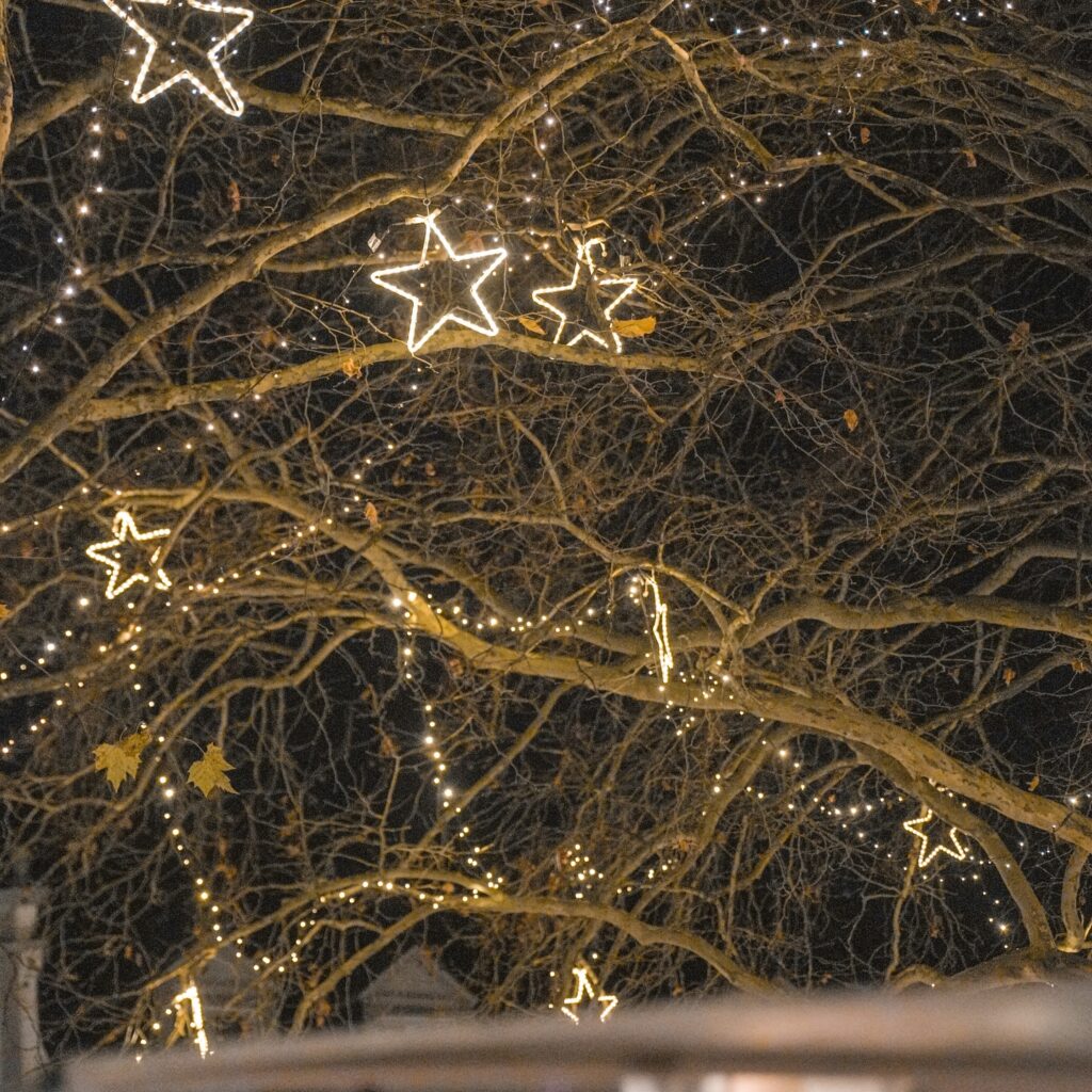 Instagram post from efcgkempen. This post is in position 8.